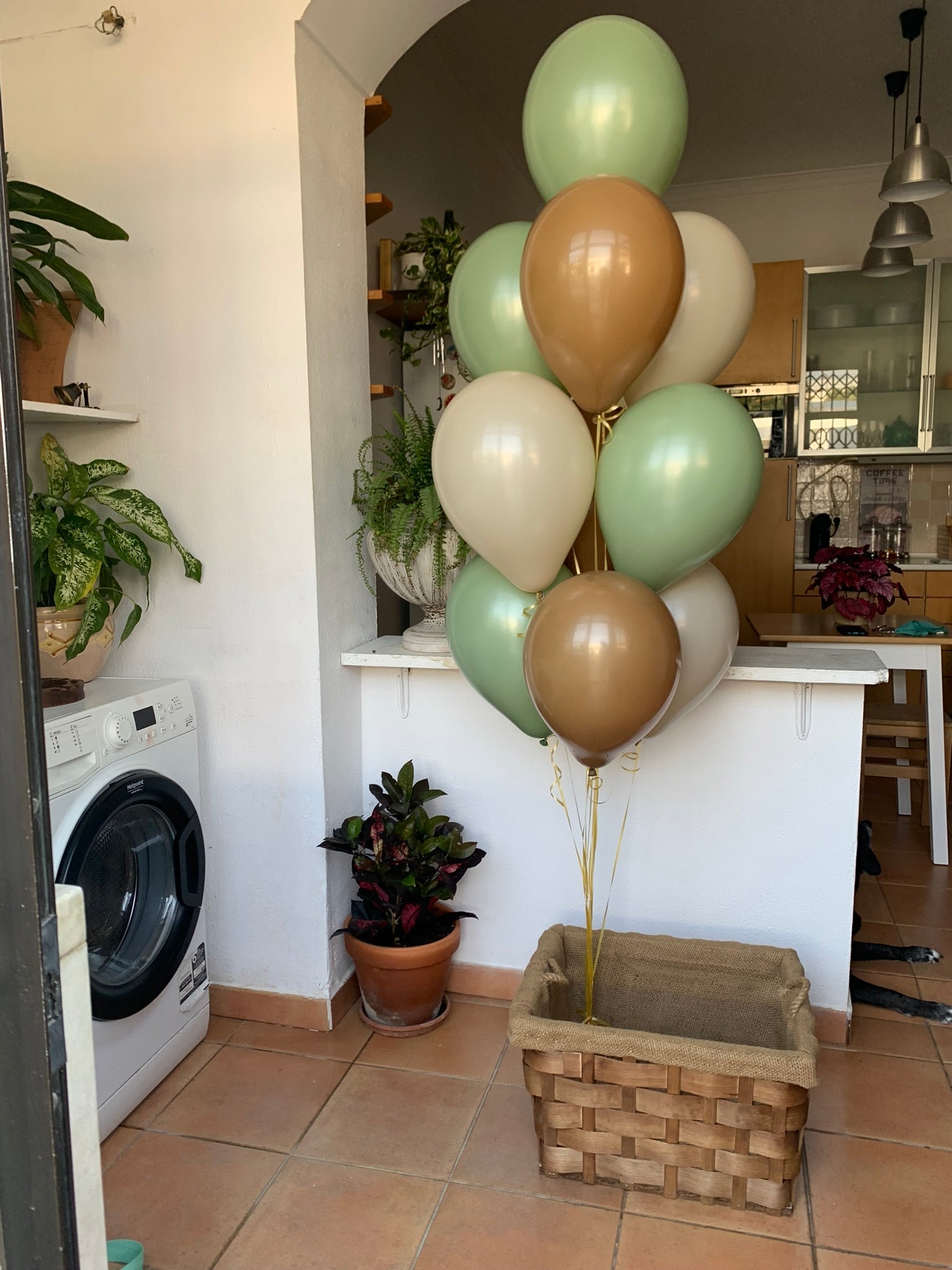 Bouquet de 10 balões